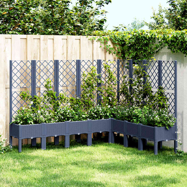 Grauer Blumenkasten mit Spalier Cairula 200x160x142cm (pp)
