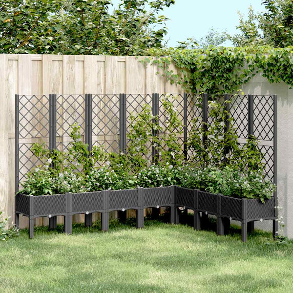 Schwarzer Blumenkasten mit Spalier Cairula 200x160x142cm (pp)