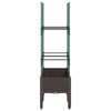 Brauner Blumenkasten mit Spalier Werle 80x40x142,5cm (PP)