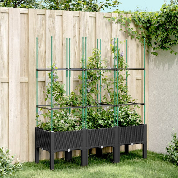 Schwarzer Blumenkasten mit Spalier Werle 120x40x142,5cm (pp)