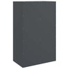 Antrasiitti senkki Enzo 67x39x107cm (teräs)