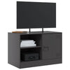 Schwarze TV-Möbel Theodotta 67x39x44cm (2 Stück, Stahl)