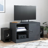 Anthrazitfarbener TV-Schrank Theodotta 67x39x44cm (Stahl)