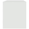 Valkoinen tv-taso Brittny 67x39x44cm (teräs)