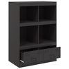 Schwarzer Schrank Rafael 67x39x95cm (Stahl)
