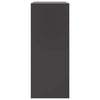 Schwarzer Schrank Rafael 67x39x95cm (Stahl)
