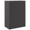 Schwarzer Schrank Rafael 67x39x95cm (Stahl)