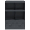 Anthrazitschrank Rafael 67x39x95cm (Stahl)