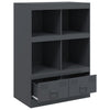 Anthrazitschrank Rafael 67x39x95cm (Stahl)