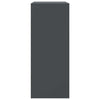 Anthrazitschrank Rafael 67x39x95cm (Stahl)