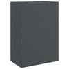 Anthrazitschrank Rafael 67x39x95cm (Stahl)