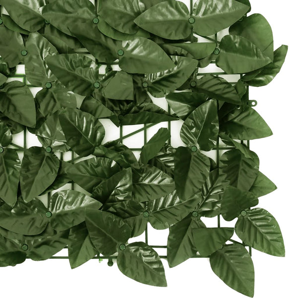 Dunkelgrüner Balkonsichtschutz Orol 600x75cm