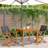 Gartenstühle Elluska schwarz (2 St. Akazie und Polyrattan)