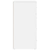 Weißes Sideboard Vicuta 60x39x80cm (Holz)
