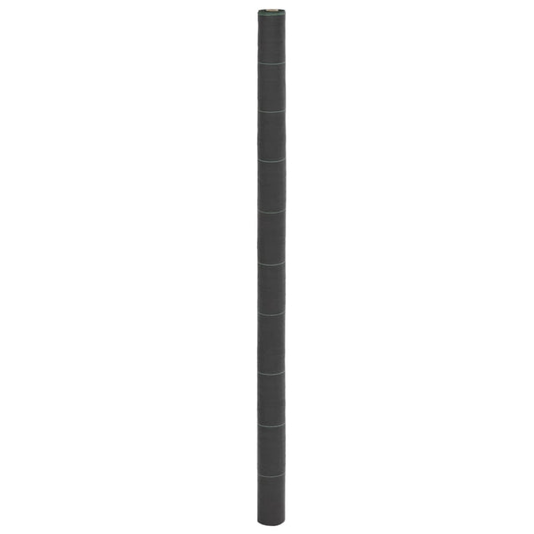 Paulesti schwarzes Unkrautvlies 2x10 m (pp)