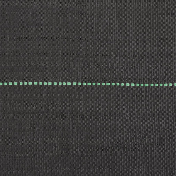 Paulesti schwarzes Unkrautvlies 2x10 m (pp)