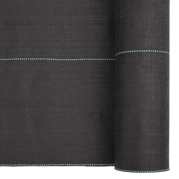 Paulesti schwarzes Unkrautvlies 2x10 m (pp)