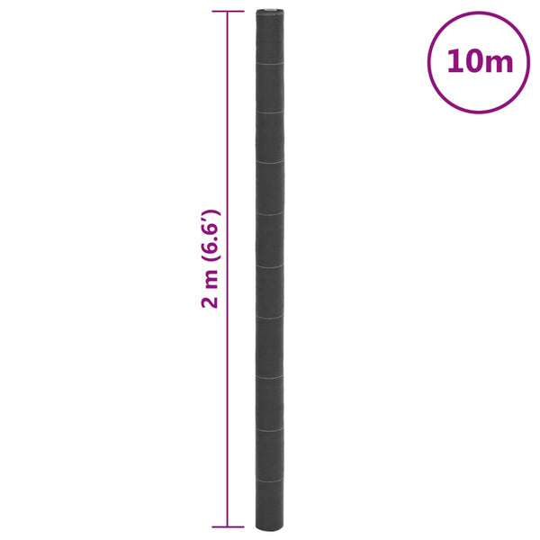 Paulesti schwarzes Unkrautvlies 2x10 m (pp)