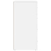 Valkoinen senkit Preparatorul 60x39x80cm (2 kpl puinen)