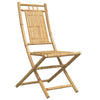 Taitettavat puutarhatuolit Budomir 46x66x99cm (4 kpl bambu)