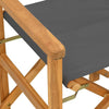 Graue Klappregiestühle Mosnenilor (2 Stück Teak)