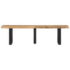 Bank Ronela 160 cm (grobes Mangoholz und Stahl)