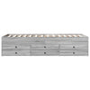 Graues Schlafsofa mit Schubladen Dulcica 100x200cm (Holz)
