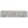Betongraues Schlafsofa mit Schubladen Dulcica 90x190cm (Holz)