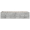 Betongraues Schlafsofa mit Schubladen Dulcica 75x190cm (Holz)