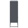 Anthrazit Schrank Binita 68,5x38,5x123,5cm (Stahl)