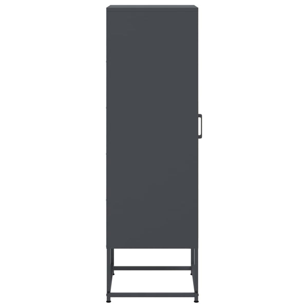 Antrasiitti kaappi Egevit 36x39x123cm (teräs)