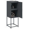 Anthrazitfarbener Schrank Johannes 36x39x107cm (Stahl)