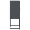 Anthrazitfarbener Schrank Johannes 36x39x107cm (Stahl)