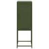 Olivgrüner Schrank Johannes 36x39x107cm (Stahl)