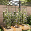 Tomatenkäfig Dunarica 154cm (6 Stk. Stahl und PP)