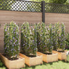 Tomatenkäfig Dunarica 116 cm (8 Stück Stahl und PP)