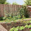 Gartenspalier für Kletterpflanzen Moricz (2 Stk. A-Rahmen Stahl)