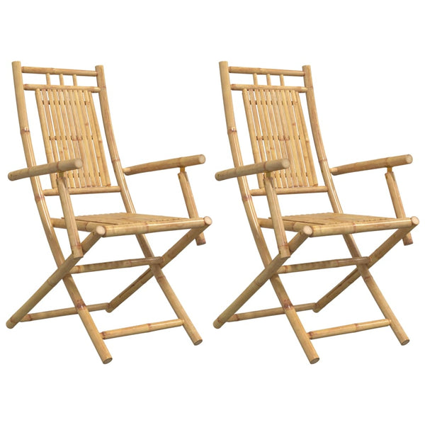 Taitettavat puutarhatuolit Budomir 53x66x99cm (2 kpl bambu)