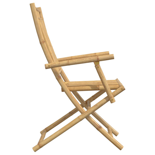 Taitettavat puutarhatuolit Budomir 53x66x99cm (2 kpl bambu)