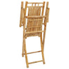 Taitettavat puutarhatuolit Budomir 53x66x99cm (2 kpl bambu)