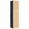Schwarzer Schrank Dincer 45x42,5x185cm (Holz)