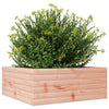 Blumenkasten Dilaver 60x60x23cm (Douglasie)