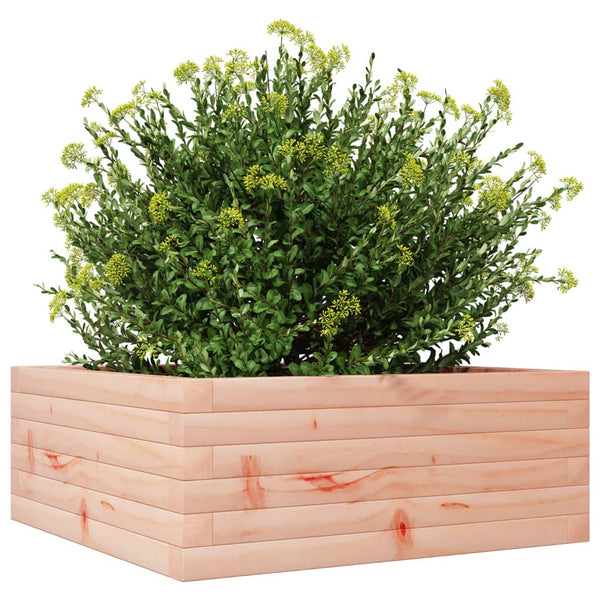 Blumenkasten Dilaver 60x60x23cm (Douglasie)
