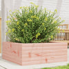 Blumenkasten Dilaver 60x60x23cm (Douglasie)