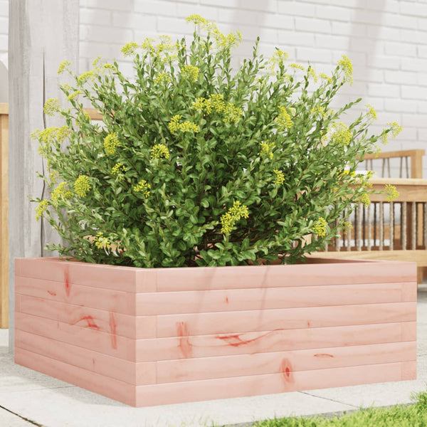 Blumenkasten Dilaver 60x60x23cm (Douglasie)