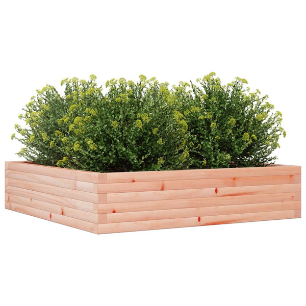 Blumenkasten Dilaver 100x100x23cm (Douglasie)