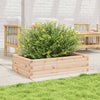 Blumenkasten Dilaver 90x60x23cm (Kiefer)