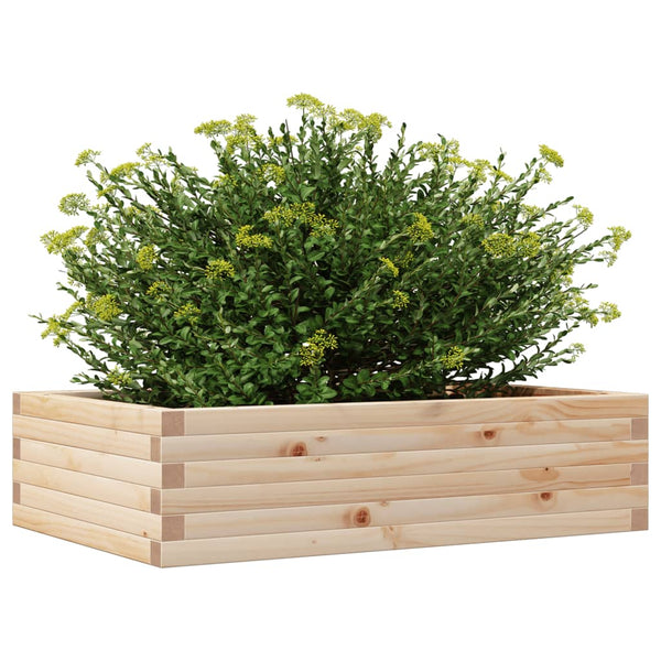 Blumenkasten Dilaver 90x60x23cm (Kiefer)