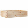 Blumenkasten Dilaver 90x60x23cm (Kiefer)