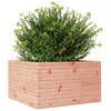Pflanzkasten Dilaver 80x80x45,5cm (Douglasie)